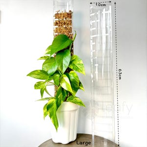 leafy™ Moss Pole 3.0 (NEW)