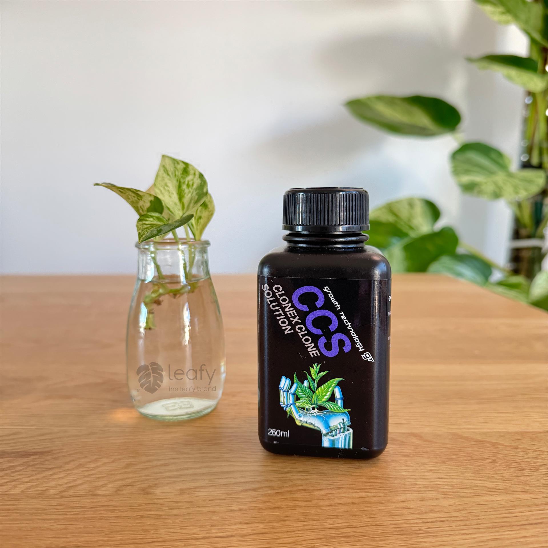 GT - CCS Clonex Clone Solution - Etsy