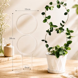 Leafy™ Double Hoop Trellis