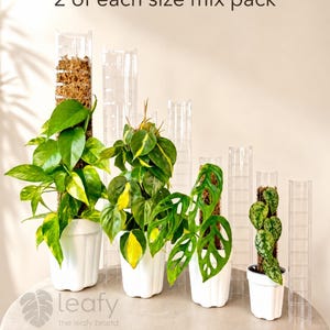 May include: A set of clear plastic plant support structures labelled Leafy moss pole 3.0 2 of each size mix pack. The set includes four sizes: Large, Medium, Small, and Mini, each shown with a potted plant and an empty pole next to it.