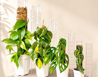 Leafy™ Moss Pole 3.0 (NEW) - Etsy
