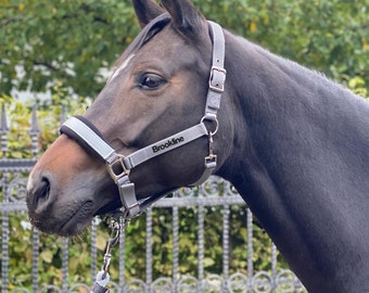 Halsterset gepersonaliseerd met naam