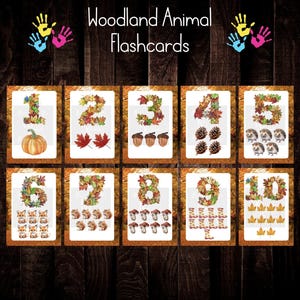 woodland number flashcards, flash cards, digital download, print from home, childminder, early years, teacher, learning
