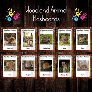woodland animal flashcards, flash cards, digital download, print from home, childminder, early years, teacher, learning