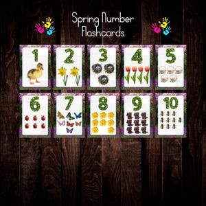 spring  number flashcards, flash cards, digital download, print from home, childminder, early years, teacher, learning