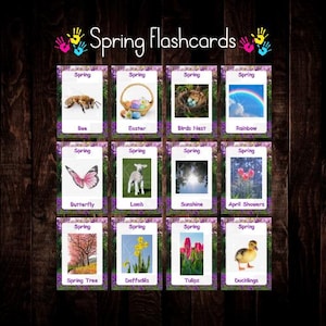 spring flashcards, flash cards, digital download, print from home, childminder, early years, teacher, learning