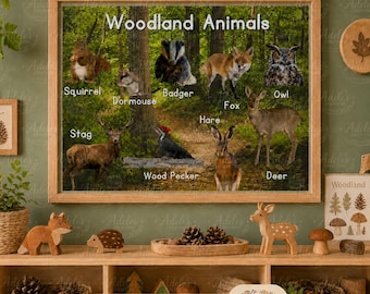 printable - digital download - early years - poster - beach - childminder - teaching - woodland - animal