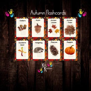 autumn flashcards, flash cards, digital download, print from home, childminder, early years, teacher, learning