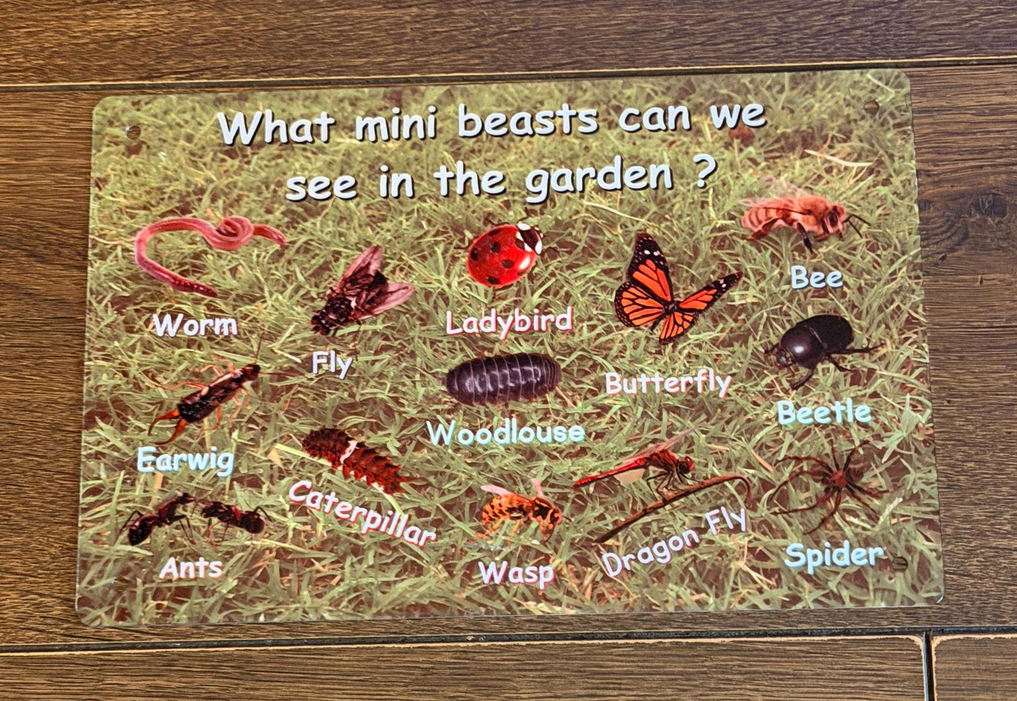 Minibeasts - Sublimation - Garden Sign - Early Years - Metal - Water ...