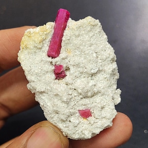 May include: A close-up of a rough, light-colored rock with several vibrant, deep red ruby crystals embedded within. The largest crystal is a prominent, upright rectangular shape. The rock has a textured, granular surface.