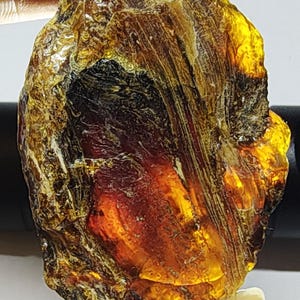 May include: A raw amber stone, displaying a range of colours from golden yellow to deep red and dark brown. The surface is textured with visible lines and patterns. The amber is held by a hand, highlighting its irregular shape and natural beauty.