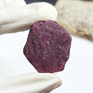 Puede incluir: Una gema de rubí en bruto, sin cortar, de un tono rojo púrpura intenso. La superficie muestra texturas y patrones naturales, sostenida por una mano enguantada. Se aprecia la forma irregular y las variaciones de color de la gema.