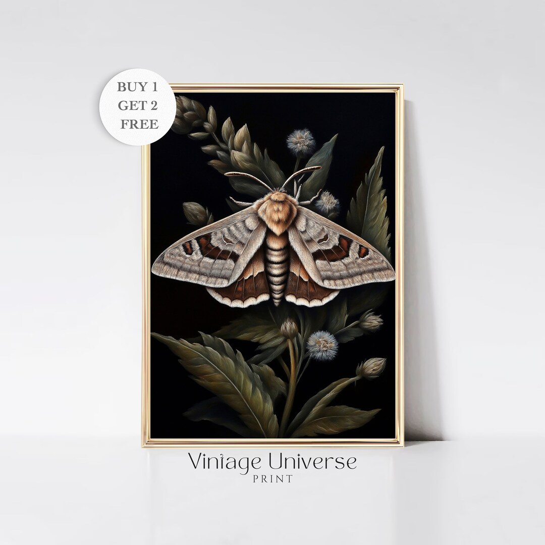 Botanical Moth, Moody Moth Print, Dark Cottagecore Wall Art, Goblincore ...