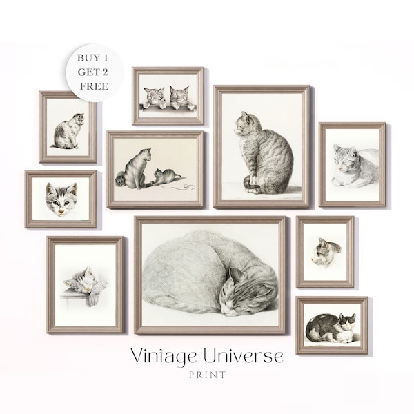 Vintage Cat Drawing Gallery Wall Set of 10 | Cat Sketch Art | Cat Art Print | Vintage Cat Sketch | Antique Drawings | Nursery Wall Art