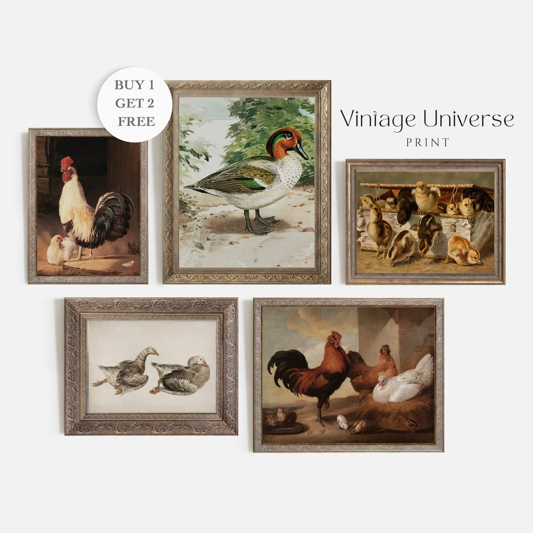 Set of 5 Vintage Farm Animal Prints Farm Animal Painting Country Farm