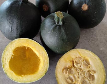 Gem Squash and other Seeds-Australian grown