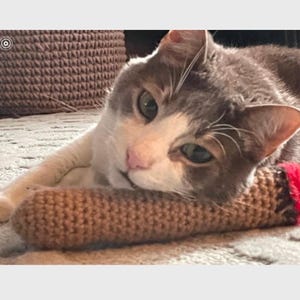 May include: A gray and white cat with green eyes is lying on a brown crocheted toy that resembles a cigar. The cat is looking at the camera.