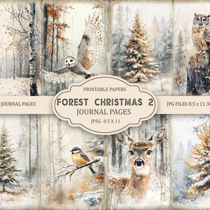Op de afbeelding: Een collage van acht winterse journaalpagina's. De pagina's bevatten aquarel illustraties van uilen, herten, vogels en groenblijvende bomen in een besneeuwde bossetting. De tekst "FOREST CHRISTMAS 2 JOURNAL PAGES" staat op een banner.