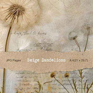 Può includere: Una stampa d'arte digitale con denti di leone beige con delicate teste di semi. L'immagine include una scritta a mano e un effetto carta strappata. Il testo sull'immagine recita "Beige Dandelions A4 (21 x 29,7) cm".