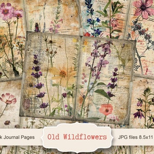 Vieilles pages de journal indésirable fleurs sauvages, kit de journal indésirable abeille vintage, papier journal indésirable, feuille de collage numérique, téléchargement immédiat