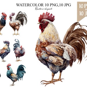 Gallos de acuarela 10 PNG + 10 JPG, Imágenes Prediseñadas de gallos, animales de granja, descarga digital, fabricación de tarjetas, imágenes prediseñadas, artesanía de papel digital