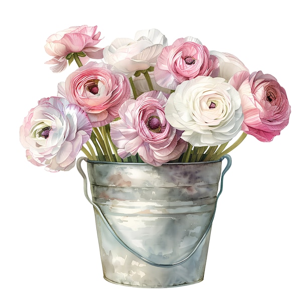10 Ranunculus Flowers Clipart, Spring Flowers Clipart, Printable, High Quality JPGs, Digital download, Paper craft, junk journal