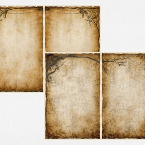 May include: Three vintage-style paper backgrounds with different borders. The first two have a decorative border with a floral motif. The third has a leafy border.