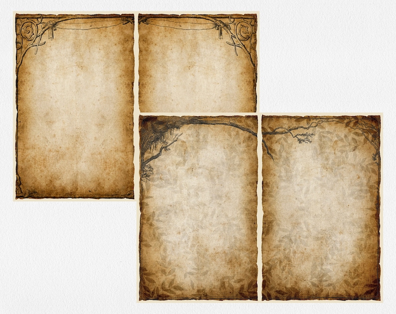 May include: Three vintage-style paper backgrounds with different borders. The first two have a decorative border with a floral motif. The third has a leafy border.