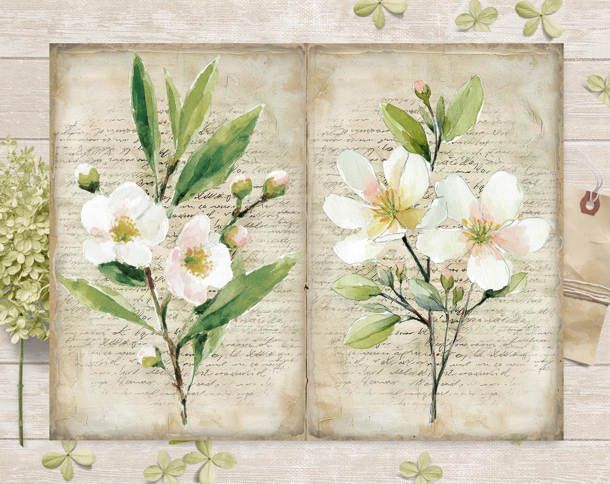 Spring Flowers Junk Journal Pages Kit: Printable Garden Scrapbook ...