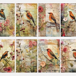 Vintage Birds Papers Collage Printable Junk Journal, Junk Journal Kit ...