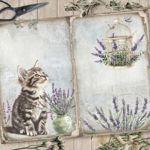 May include: A vintage-style illustration featuring a kitten, lavender, and a birdcage. The kitten is gray and brown, looking upwards. Lavender sprigs are in a green vase and around a white birdcage. The background is aged paper with script.