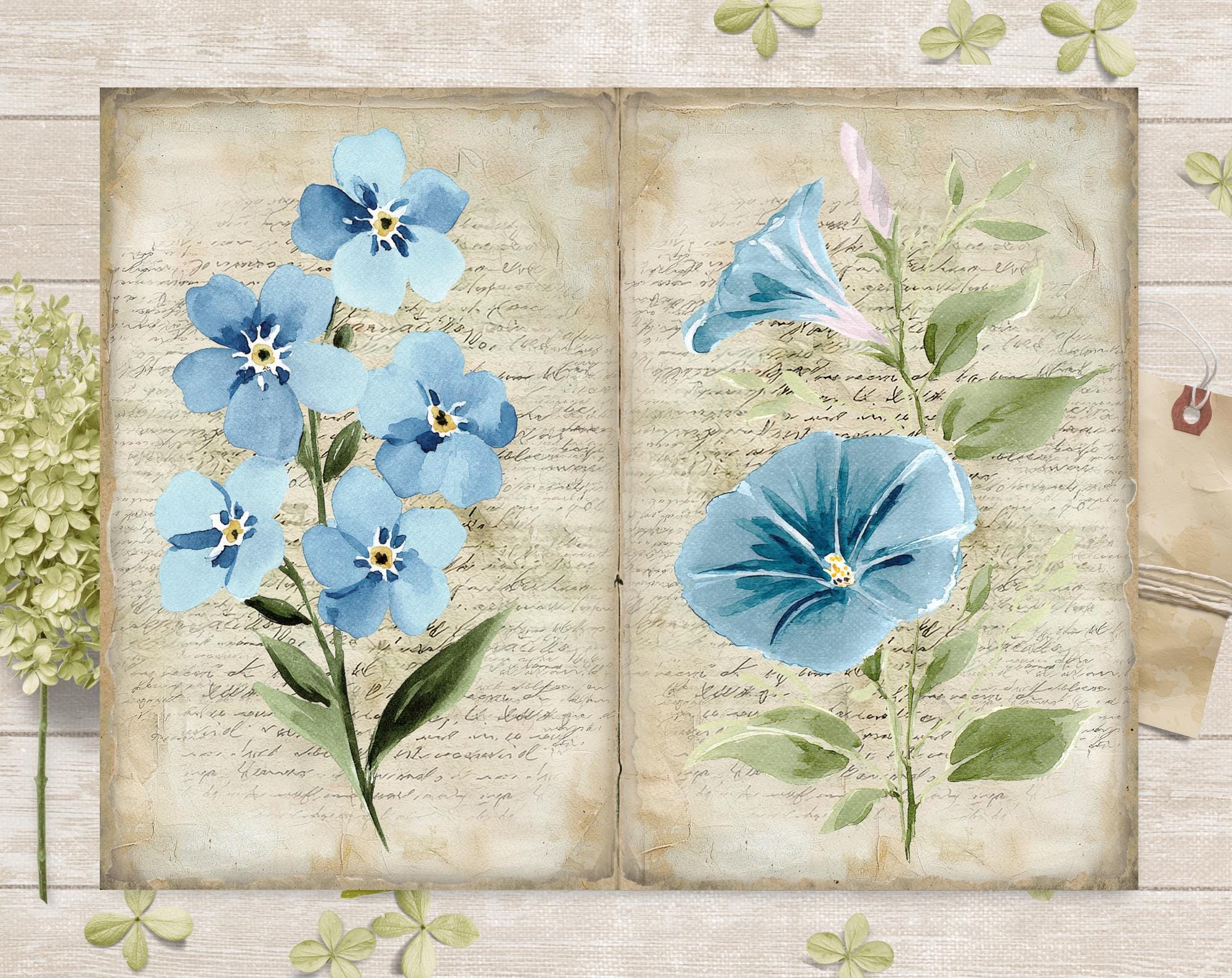 Spring Flowers Junk Journal Pages Kit: Printable Garden Scrapbook ...