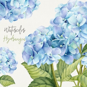 Blaue Hortensien Clipart, Clipart weiße Blumen, Blumen Clipart, Hochzeitsstrauß, Blumengesteck, Hortensie PNG, Planer Aufkleber PNG