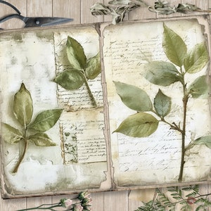 May include: Two pages of a vintage journal with pressed green leaves and handwritten text. The pages are aged and have a distressed look.
