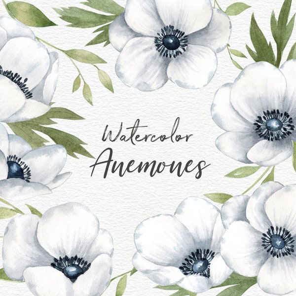 Anemone Watercolor Flowers Clipart, White Wedding Flowers, Instant Download, Planner Clipart, Digital Download, Sublimation Graphics PNG