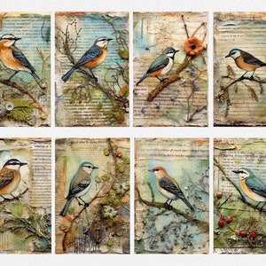 Vintage Birds Papers Collage Printable Junk Journal, Junk Journal Kit ...