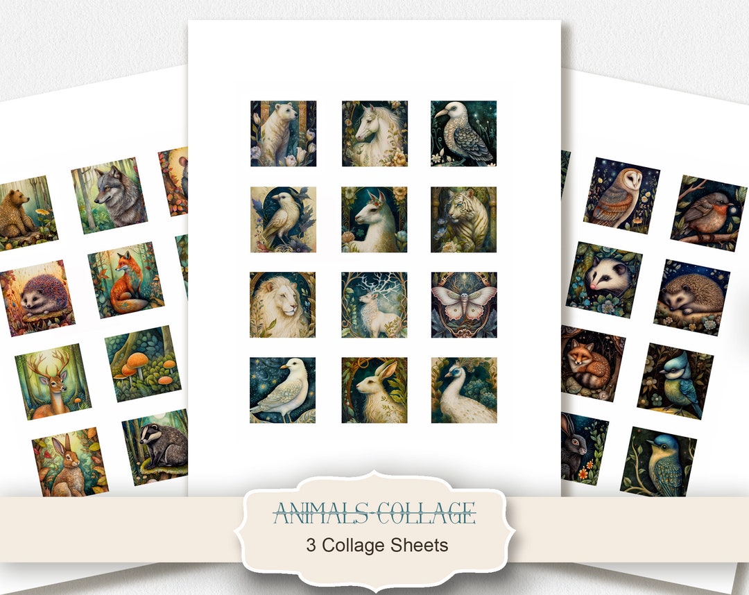 Animals Digital Collage Sheet, Square Printable Images Digital Collage ...