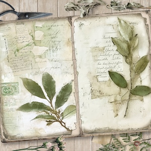 May include: An open vintage journal with pages filled with handwritten text and pressed green leaves. The journal has a worn, aged look and is surrounded by rustic elements like a pair of scissors, a key, and dried flowers.