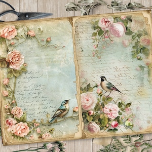 Op de afbeelding: Een open vintage dagboek met een blauw en wit bloemenontwerp. De pagina's zijn gevuld met handschrift en er zitten twee kleine blauwe vogels op takken met roze rozen.
