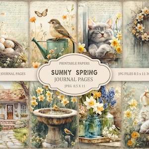 May include: A collection of watercolour illustrations with spring themes. Images include a bird on a watering can, a cat, a nest with eggs, a house, a bird bath, and floral arrangements. Text reads "Sunny Spring Journal Pages" and "Junk Journal Pages".