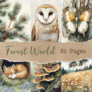 May include: Watercolor illustrations of forest scenes, including a pine branch with pinecones, a barn owl, a butterfly, a sleeping fox, tree fungus, and a meadow. The text "Forest World 60 Pages" is displayed on a torn paper banner.