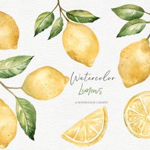 Clipart de limões em aquarela, limão de verão, frutas digitais, plantas, convite de casamento cítrico scrapbook PNG, adesivos de planejador PNG