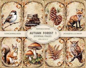 May include: Five printable junk journal pages featuring autumn forest themes. The pages include images of a squirrel, owl, fox, mushrooms, pine cones, a bird, and a stack of books. The pages are 8.5 inches by 11 inches and 300 DPI.