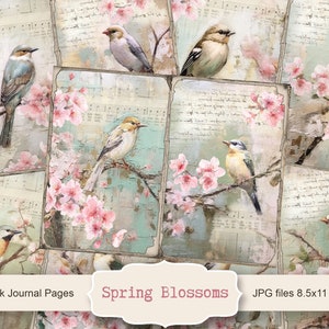 Frühlingsblüten Junk Journal Digitale Seiten, Vögel Papier Scrapbooking, Frühling Digitales Papier, Frühling JPG, Digitales Collage Sheet, Printable