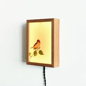 Pájaro, tablero de luz pintado a mano, luz led.