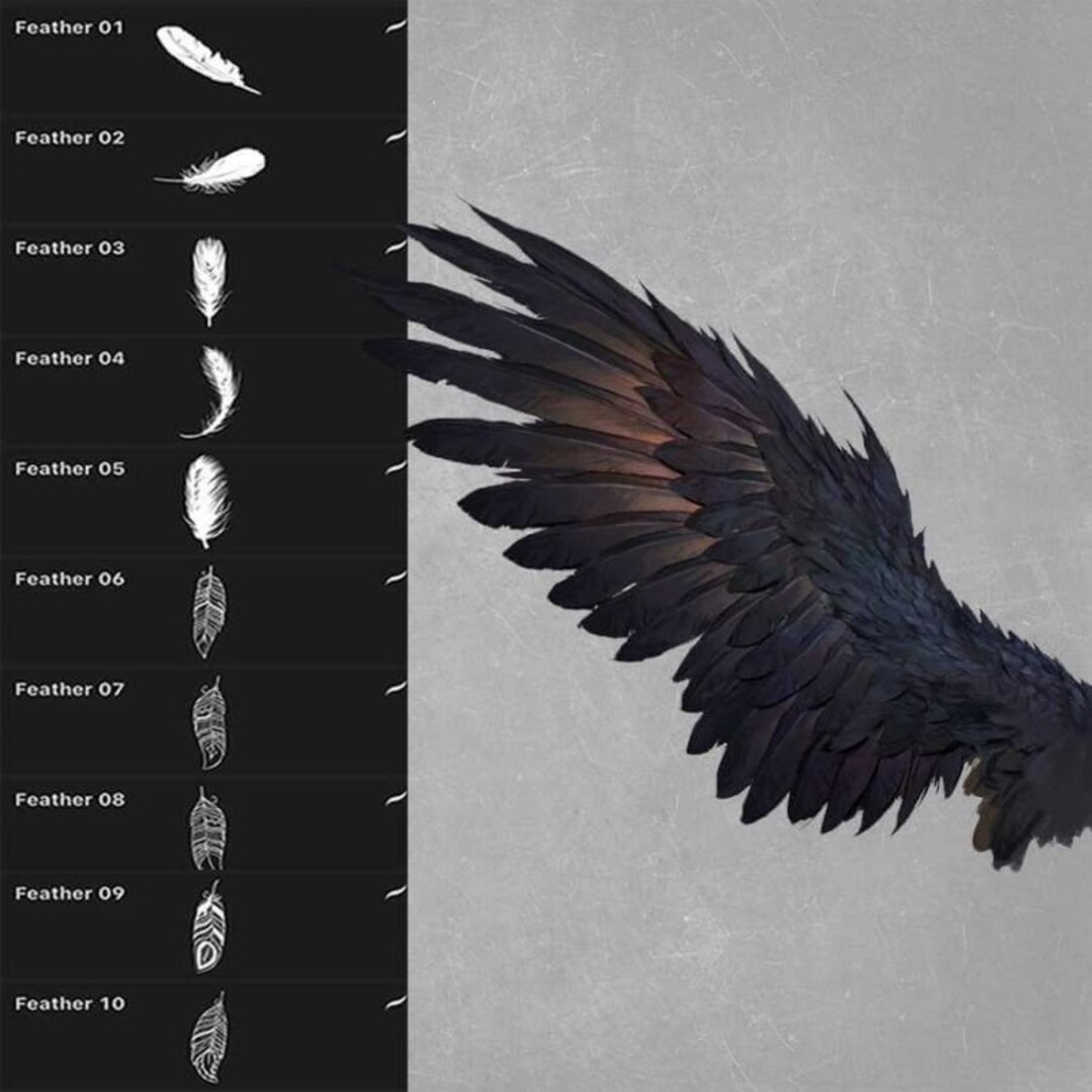 Feathers Stamp Brushes for Procreate Etsy