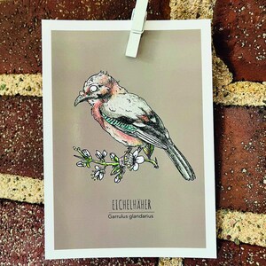 10 Postkarten "Birds of Brüggen - Shit happens"