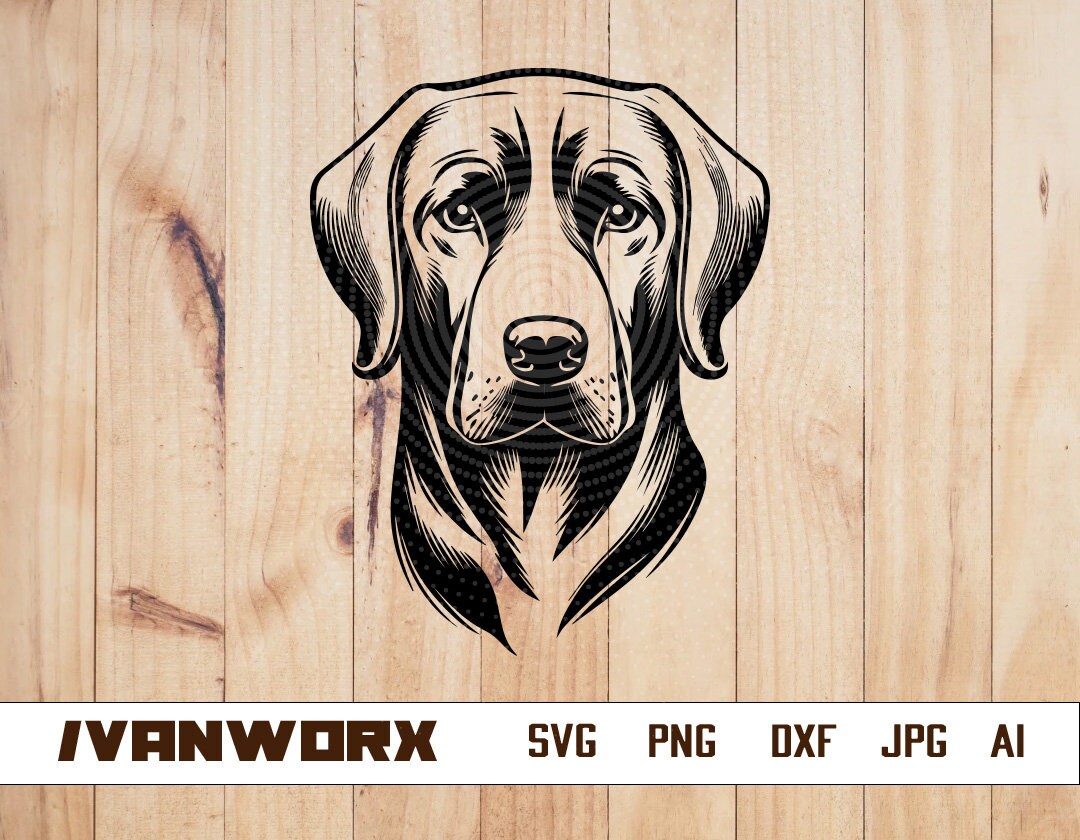 Labrador Dog Svg | Labrador Clipart | Labrador Cutfile | Labrador Shirt ...