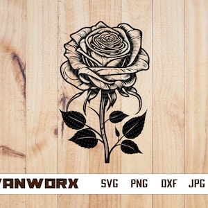 Single Rose Svg | Rose Clipart | Flower Svg | Nature Svg | Bush svg | Rose Vector | Rose Cut file | Flower Clipart | Rose Flower png | Dxf