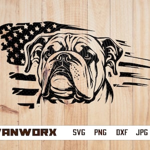 US Bulldog Svg | English Bulldog Clipart | Dog Breed Cut File | Bulldog Mascot Stencil | Dog Lover T-shirt Design |USA Flag Dxf |Pet Dog Png